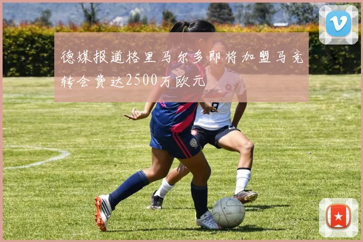 德媒报道格里马尔多即将加盟马竞转会费达2500万欧元