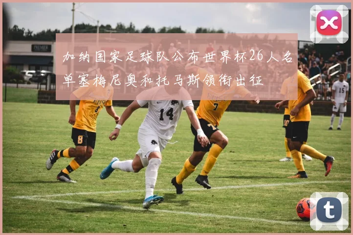 加纳国家足球队公布世界杯26人名单塞梅尼奥和托马斯领衔出征